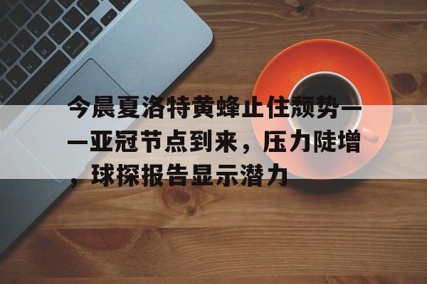 大黄蜂球队足球   大黄蜂球队足球